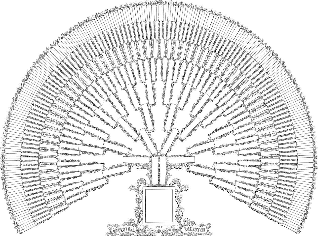 Árbol genealógico sin detalles