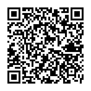 codigo qr